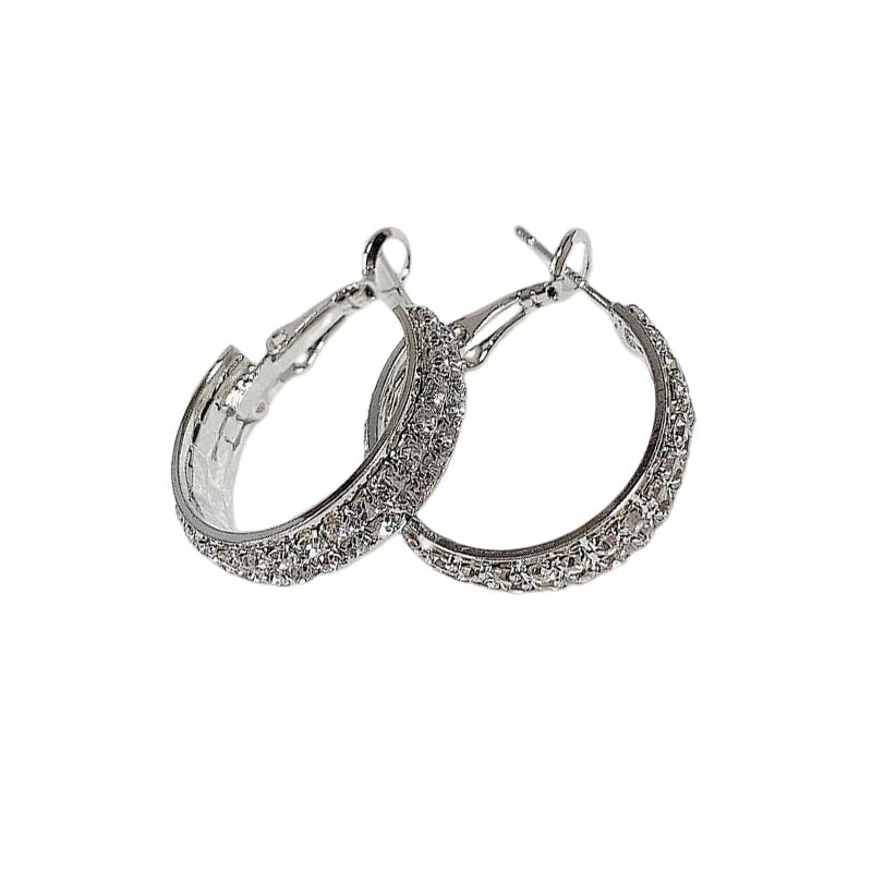 š„Sparkle Small Hoop Earrings