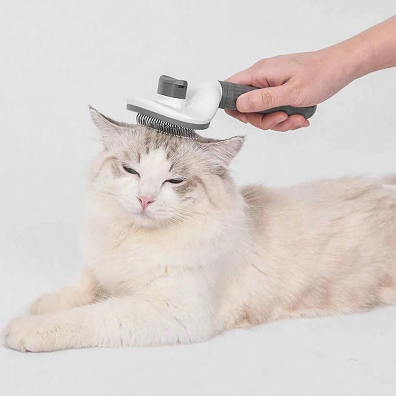 Pet Anti-Slip Grooming Brush & Hair Removal Comb | Cats & Small Pets