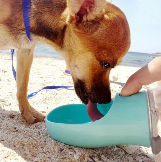 🐶Portable Pet Water Bottle | Leakproof Dog Travel Water Dispenser for Outdoor Walking & Travel💧