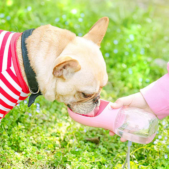 🐶Portable Pet Water Bottle | Leakproof Dog Travel Water Dispenser for Outdoor Walking & Travel💧