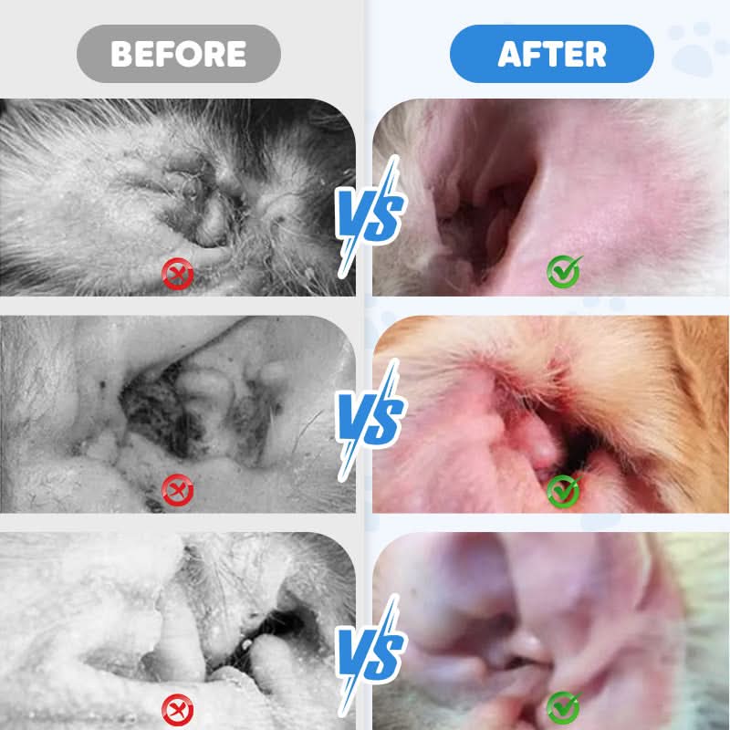 Ear Cleaner for Dogs & Cats – Gentle, Effective & Easy to Use!