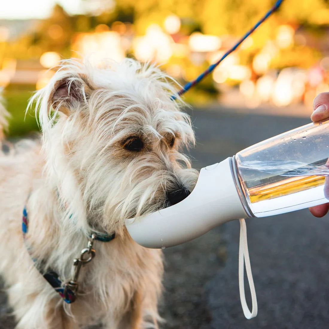 🐶Portable Pet Water Bottle | Leakproof Dog Travel Water Dispenser for Outdoor Walking & Travel💧