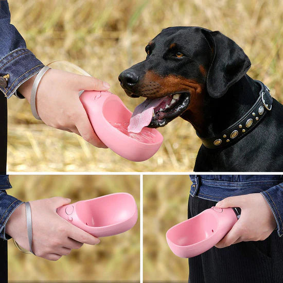 🐶Portable Pet Water Bottle | Leakproof Dog Travel Water Dispenser for Outdoor Walking & Travel💧